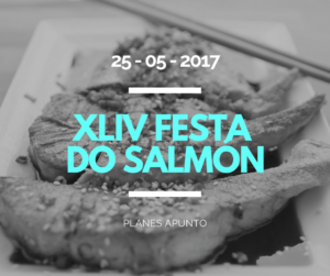 PLANES A PUNTO – XLIV FESTA DO SALMÓN DA ESTRADA
